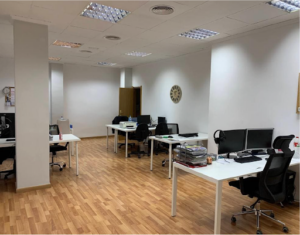 Consultor SEO en Valencia