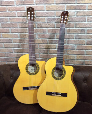 Guitarras Raimundo
