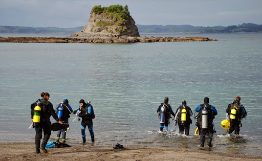 Diving Valencia