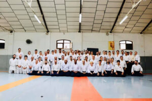 Aikido Nintai Valencia