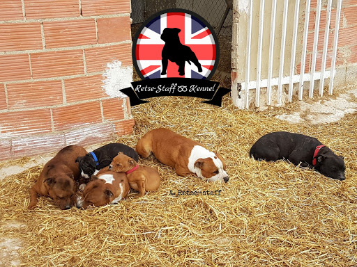 Retse-staff Kennel