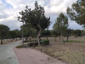 Parqué Tactica
