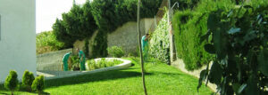 Albanta Jardines