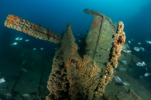 Buceo Valencia