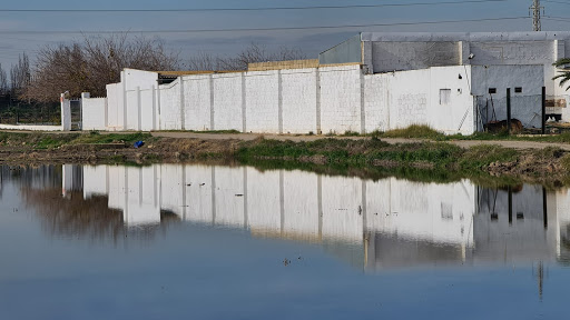 Club Tiro Olímpico La Albufera de Silla