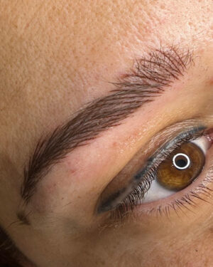Sonia Andreu - Estetica Integral - Microblading - Cursos y Tratamientos PMU