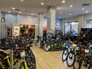 MAMMOTH BIKES Valencia