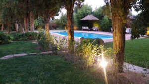 Huerto de San Vicente