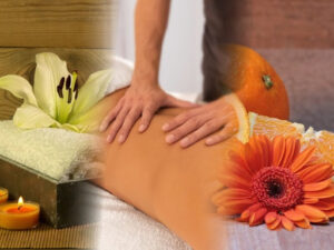 Wellness Avenida