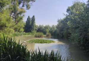 Parque de La Rambleta