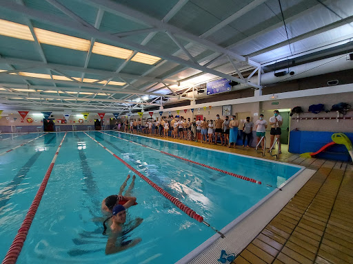 Club Natación Delfín