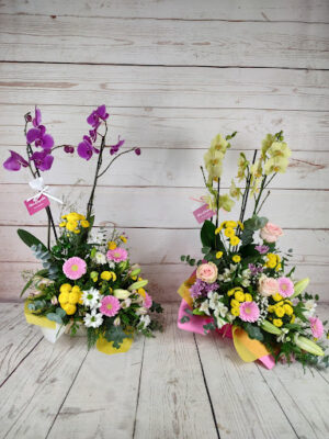 Flores de Jacqueline   Flores a Domicilio Valencia