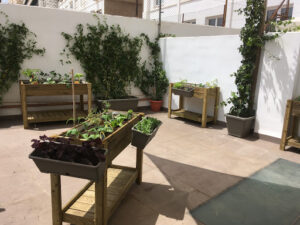 Plantesdecor. Paisajismo y jardinería. Diseñamos tu jardín en Valencia