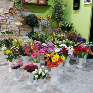 Capriccio Floristería