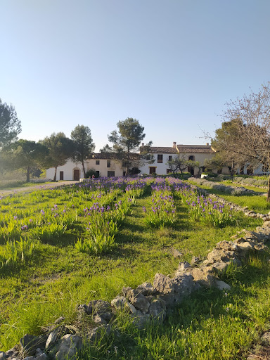 Ayunarte Retiros de ayuno