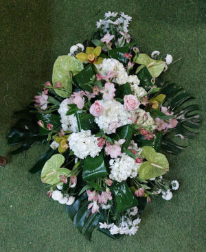 Flors i plantes Sole-Vida
