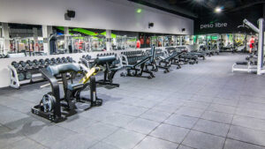 Dreamfit València