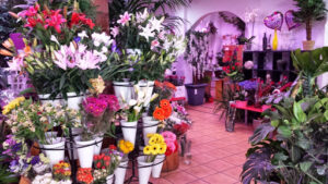 Floristería Morris - Flores a domicilio Valencia