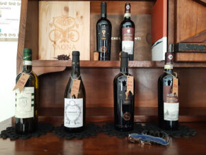 EnoValencia - Tienda ONLINE de Vinos Italianos y Españoles, Catas de Vino y Cursos sobre el vino en Valencia.