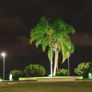 Mega-2 Seguridad S.L.