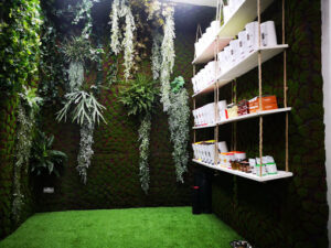 Healthy Center