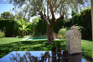 Jardines Con Vida