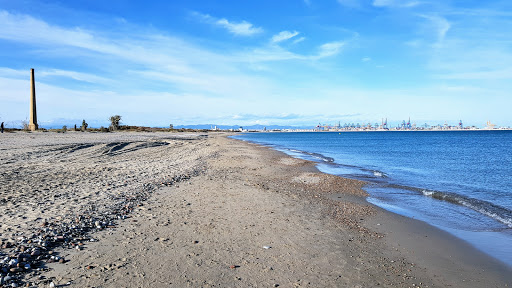 Platja de l'Arbre del Gos