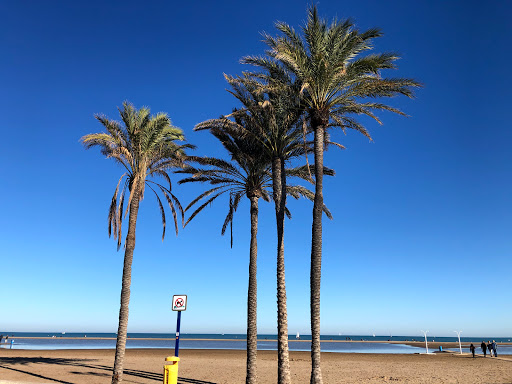 Playa La Malvarrosa