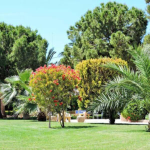 Alzineta Jardinería