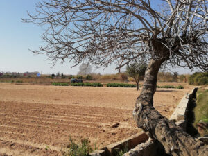 Campo de tiro "La Alquería" Quart de Poblet