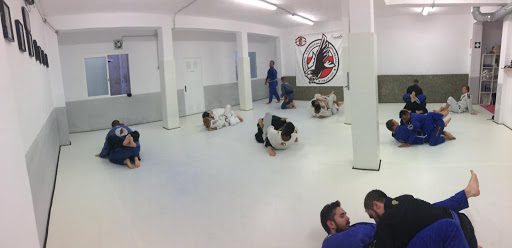 MICHAL ADAMCZAK BJJ ACADEMY