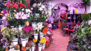 Floristería Morris - Flores a domicilio Valencia