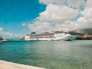 Viajes Fina