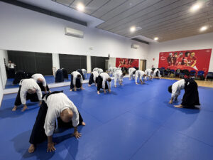 Aikido Aikikai Valencia