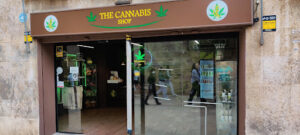 The Cannabis Shop