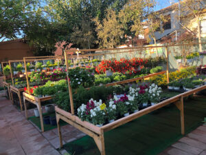 Centro de Jardinería Albogarden
