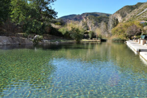 Charco Gruñidor