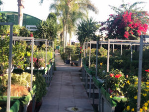 Centro de Jardinería Albogarden