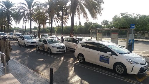 Parada de Taxis Estación Buses