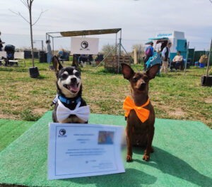 Arcanes Entrenamiento y Psicología Canina