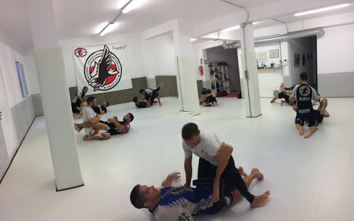 MICHAL ADAMCZAK BJJ ACADEMY