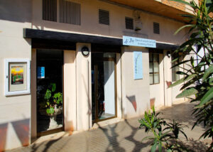 Consulta Ai Jing
