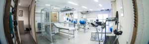 Fisioterapia Valencia