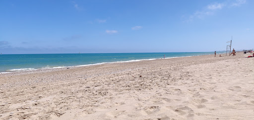 Platja de València (Clothed and Nudist)