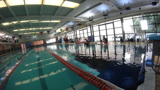 Club Natación Delfín