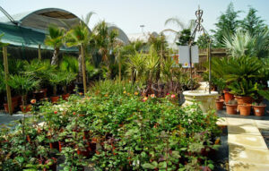 Jardinería Tot En Ú S.L.