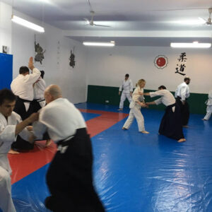 Aikido Valencia Dojo Ronin
