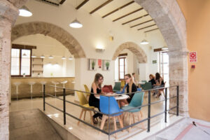 Don Quijote School