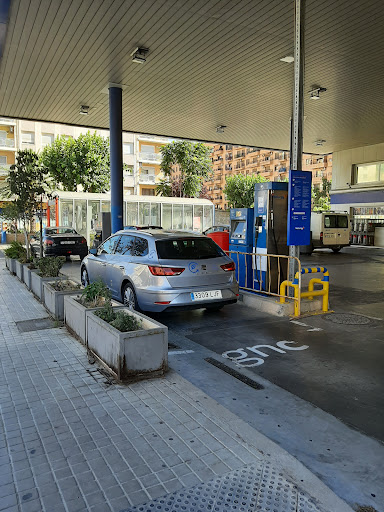 Estacion de Servicio SUR