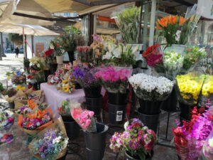 Flores Paula - Floristería con envío a domicilio